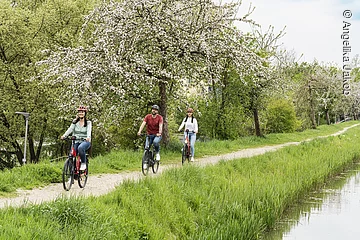 Radfahren am Ludwig-Donau-Main-Kanal